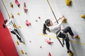 科罗拉多洛基队由于战绩持续垫底，2025 年 5 月正式解雇总教练巴德·布莱克